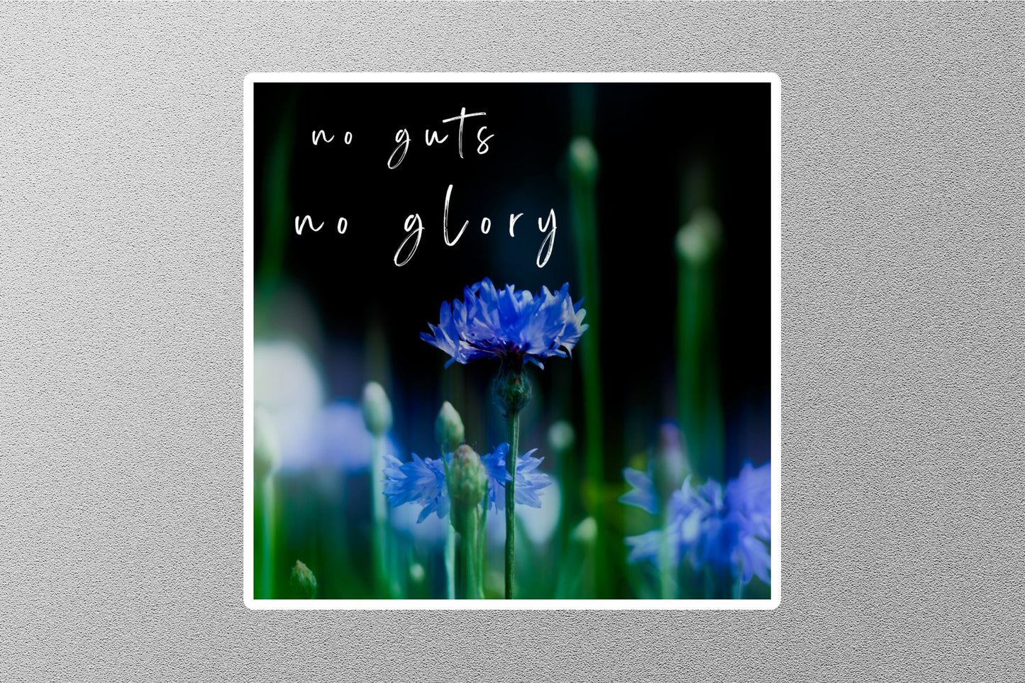 No Guts No Glory Inspirational Quote Sticker