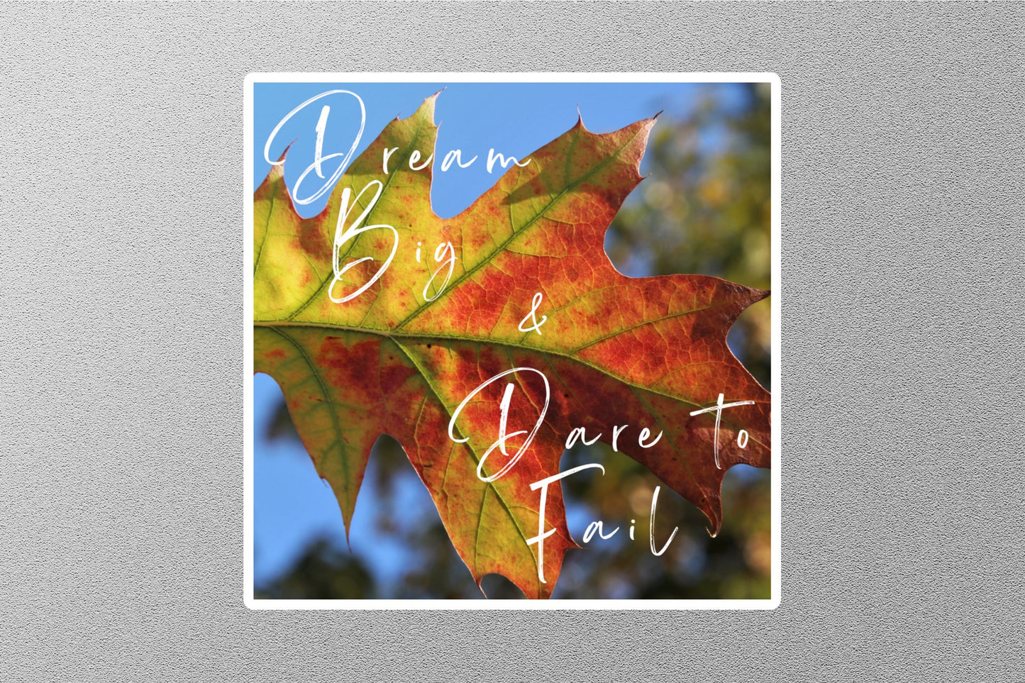 Dream Big & Dare To Fail Inspirational Quote Sticker