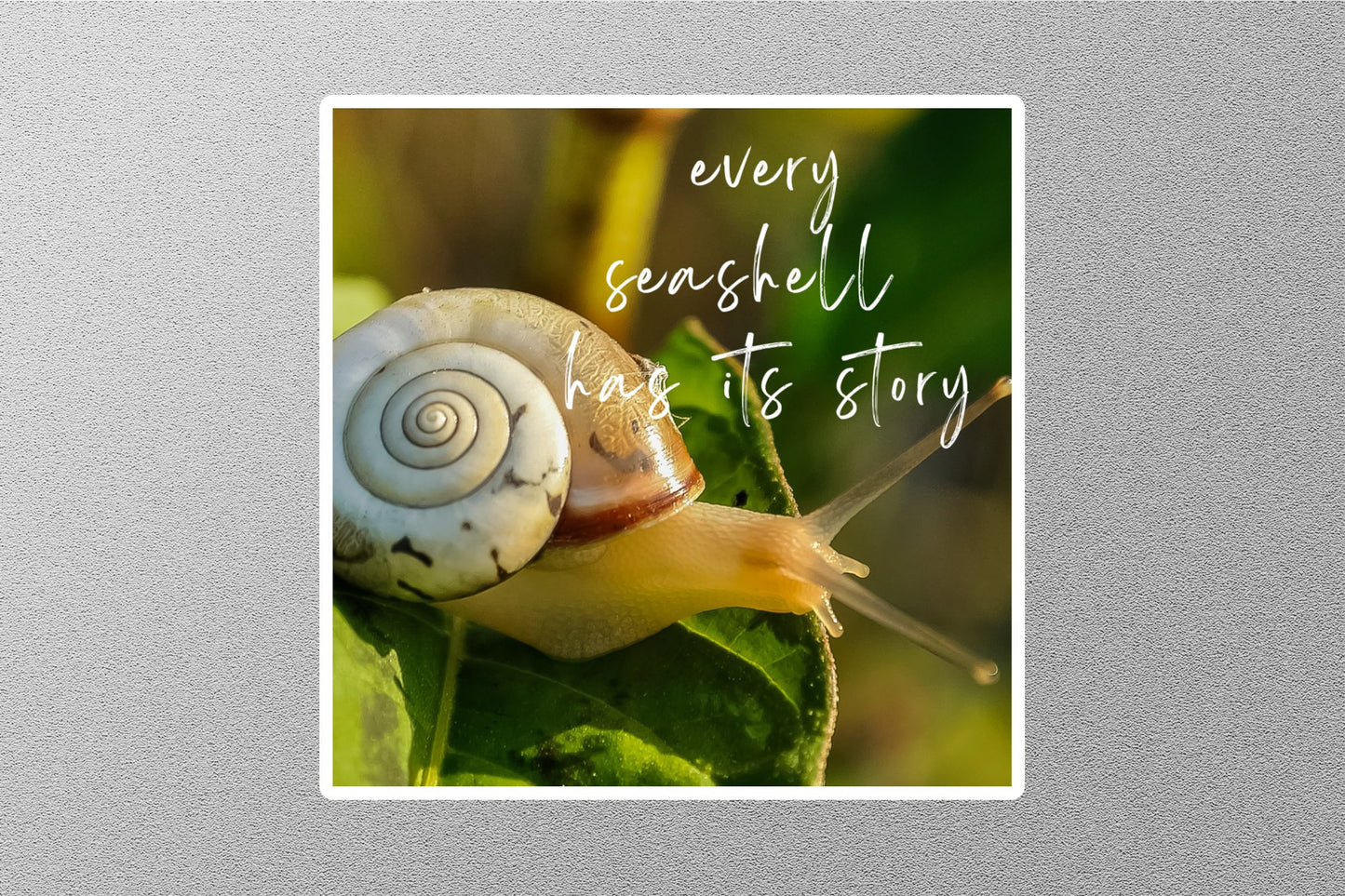Wholesale Every Se Shell Has At Story Inspirational Quote Sticker
