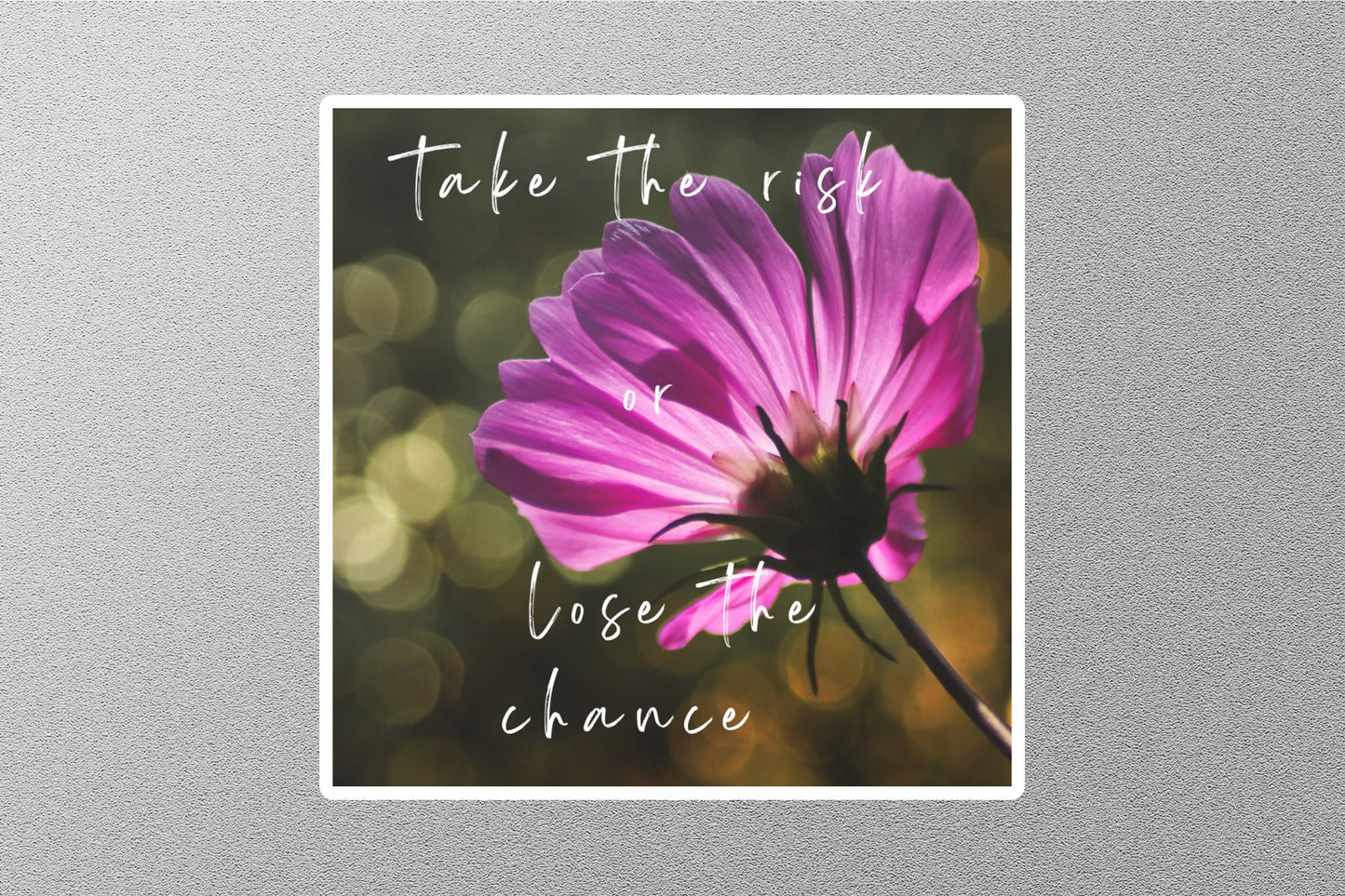 Wholesale Take The Risk Or Lose The Chance Inspirational Quote Sticker