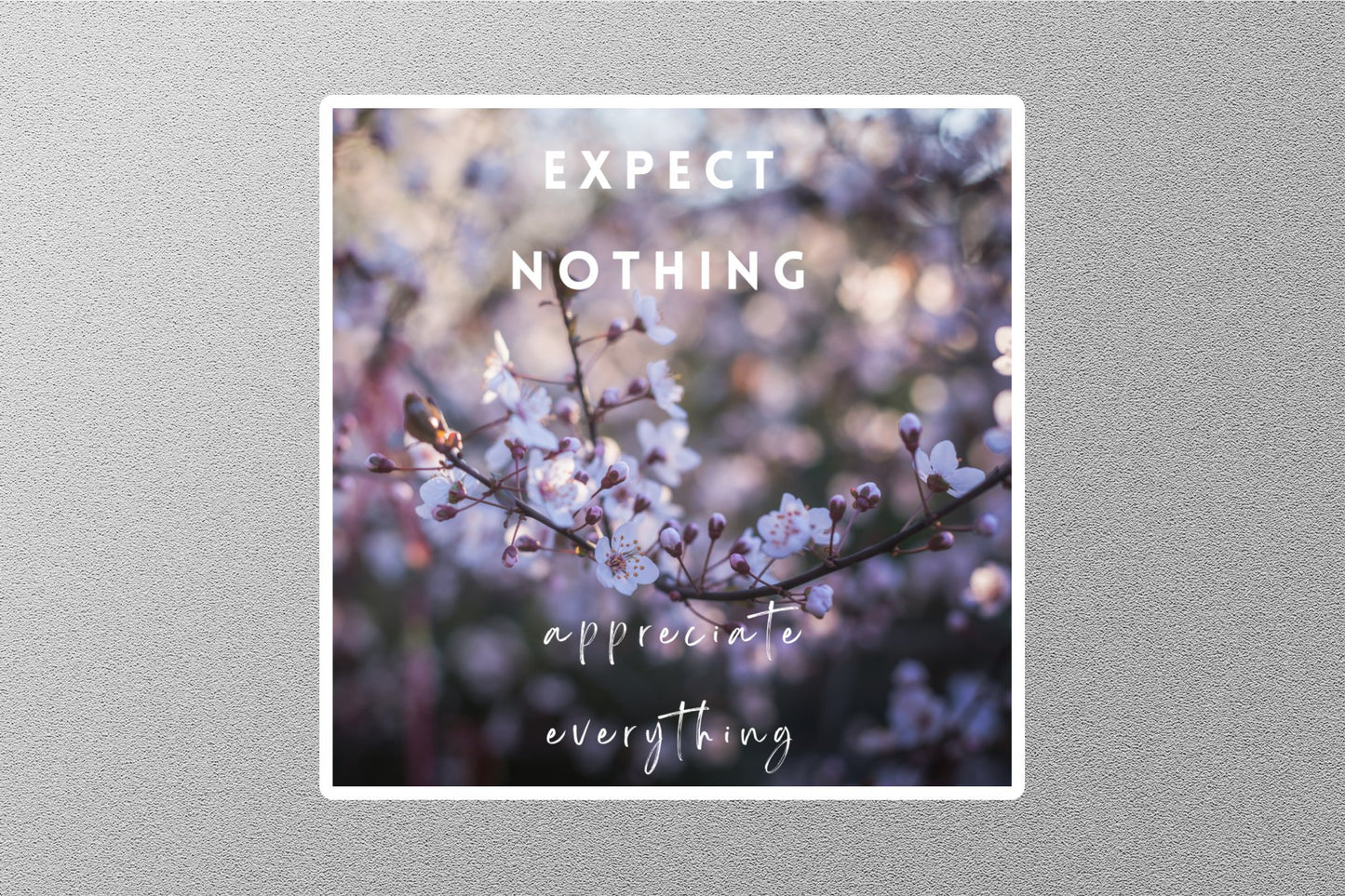 Wholesale Expect Nothing Appreciate Everything Inspirational Quote Sticker