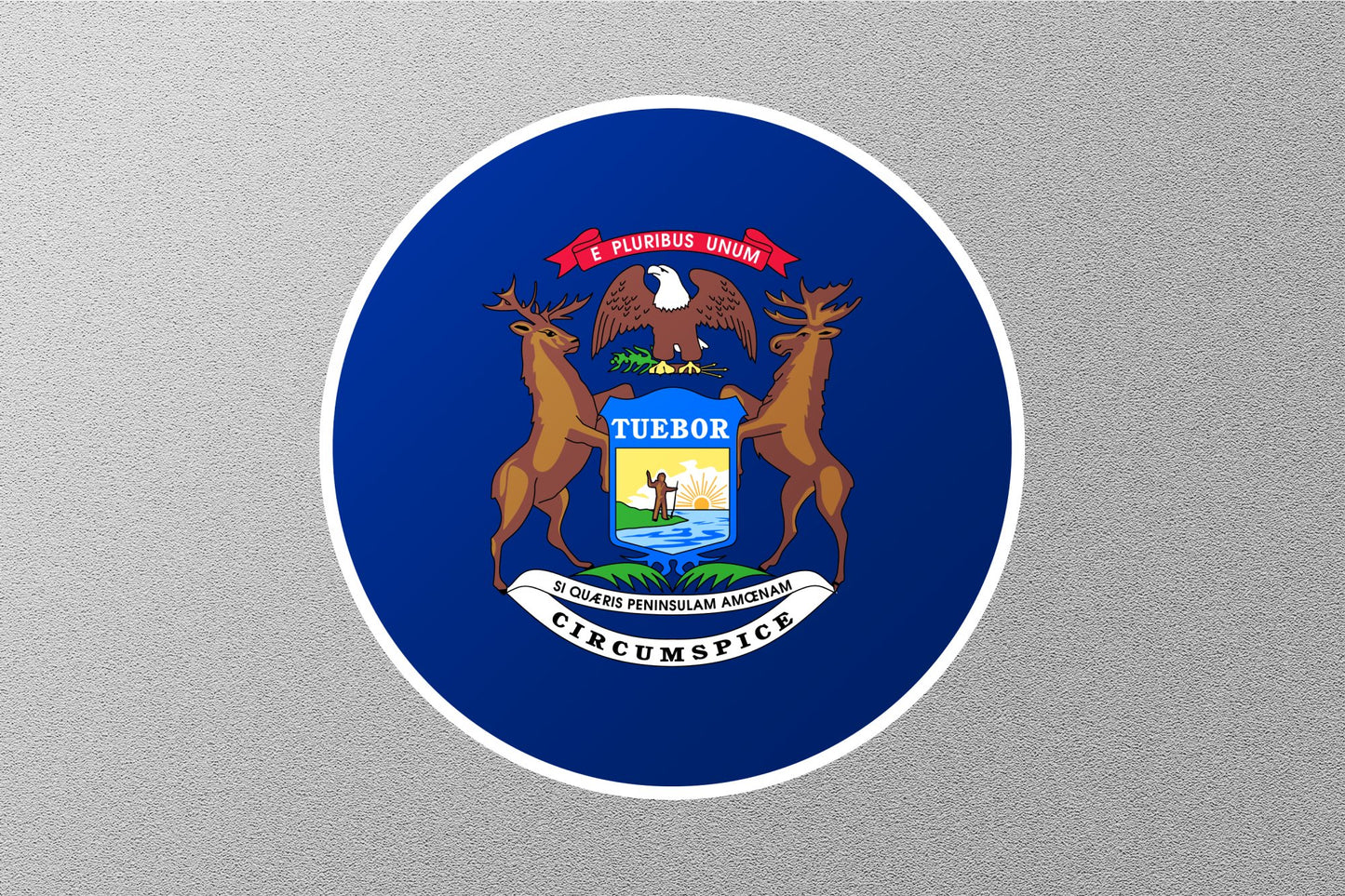Wholesale Michigan State Flag Circle Sticker