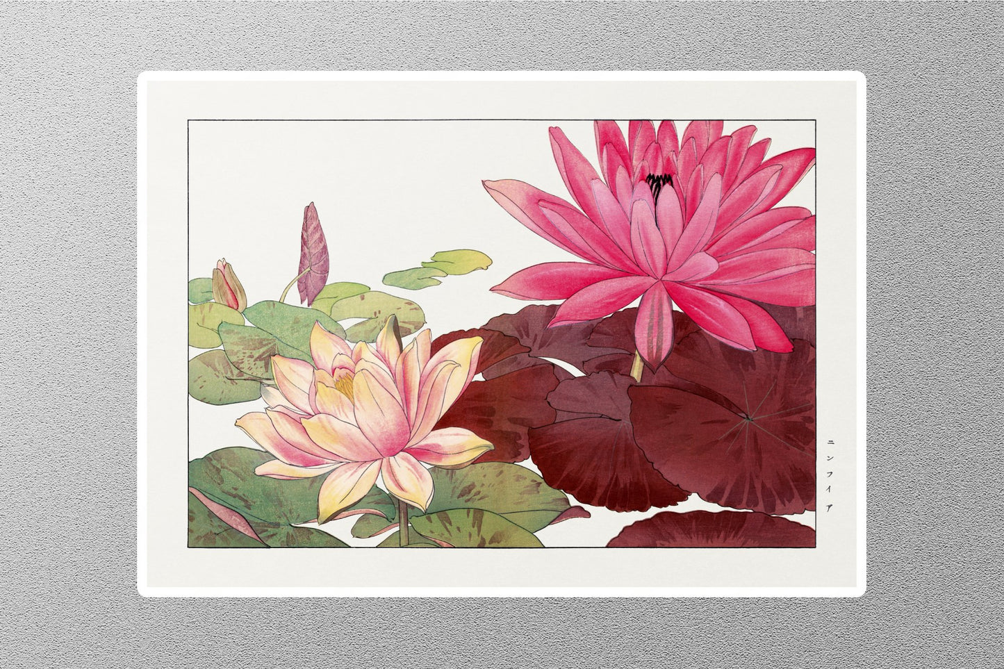 Wholesale Nymphaea Lotus Art Dozen Sticker
