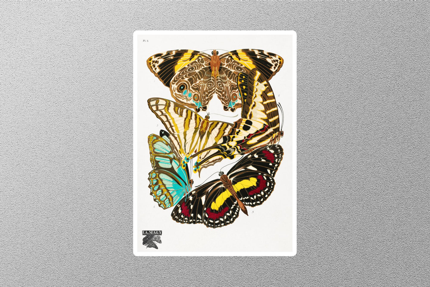 Wholesale Butterflies E.A. Séguy Sticker