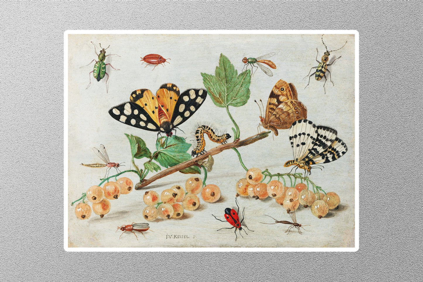 Wholesale Insects and Fruits 1660 -1665 Jan van Kessel Sticker
