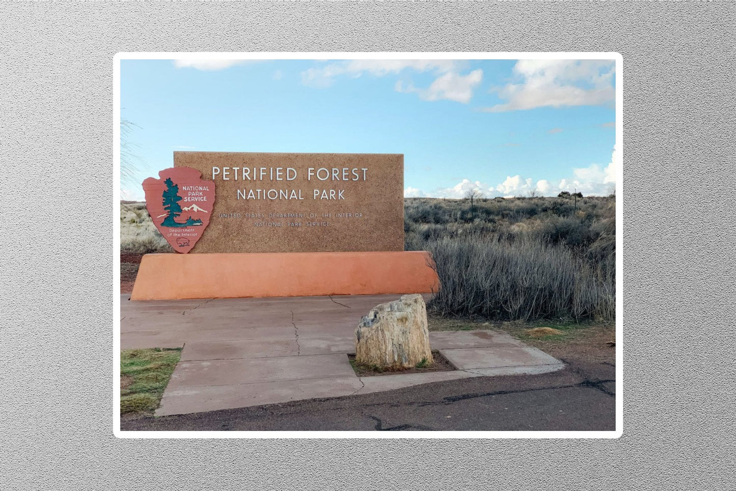 Wholesale Petrified Forest National Park 3 Travel Sticker