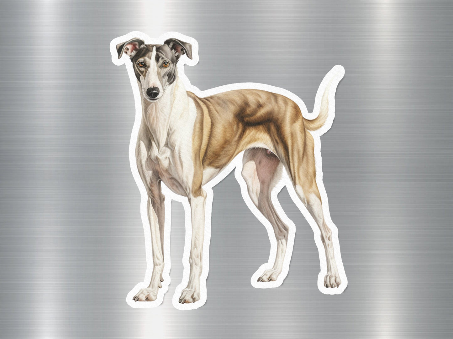 Wholesale Greyhound Dog Sticker