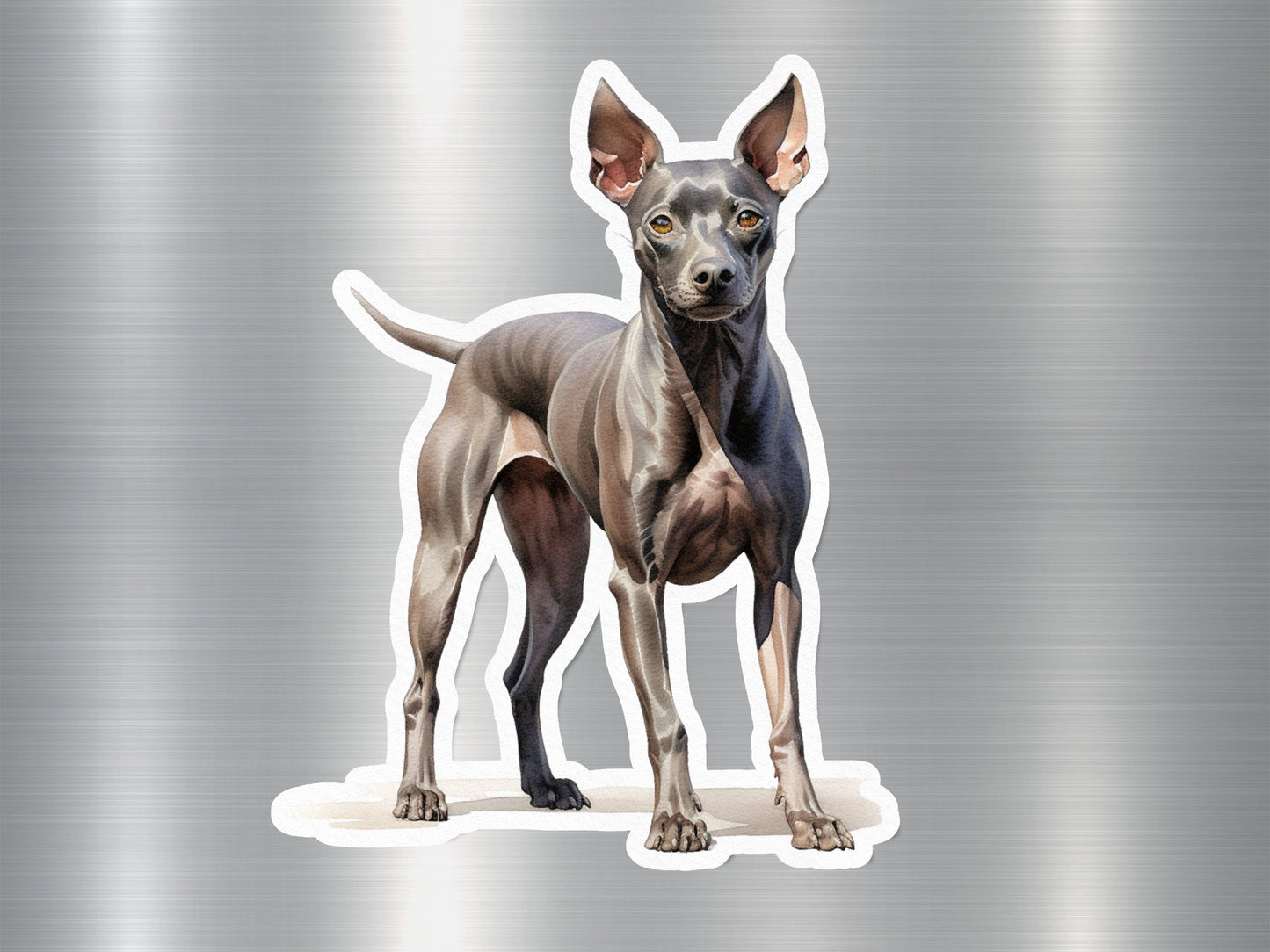 Wholesale American Hairless Terrier Dog Sticker