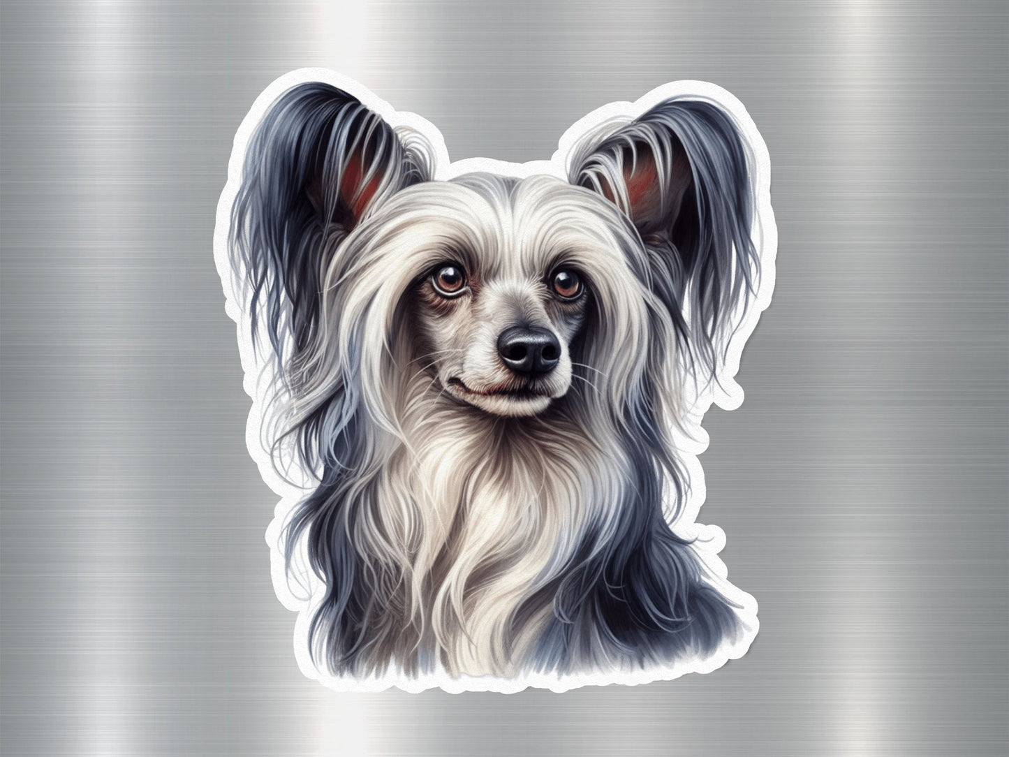 Wholesale Chinese Crested Dog Sticker