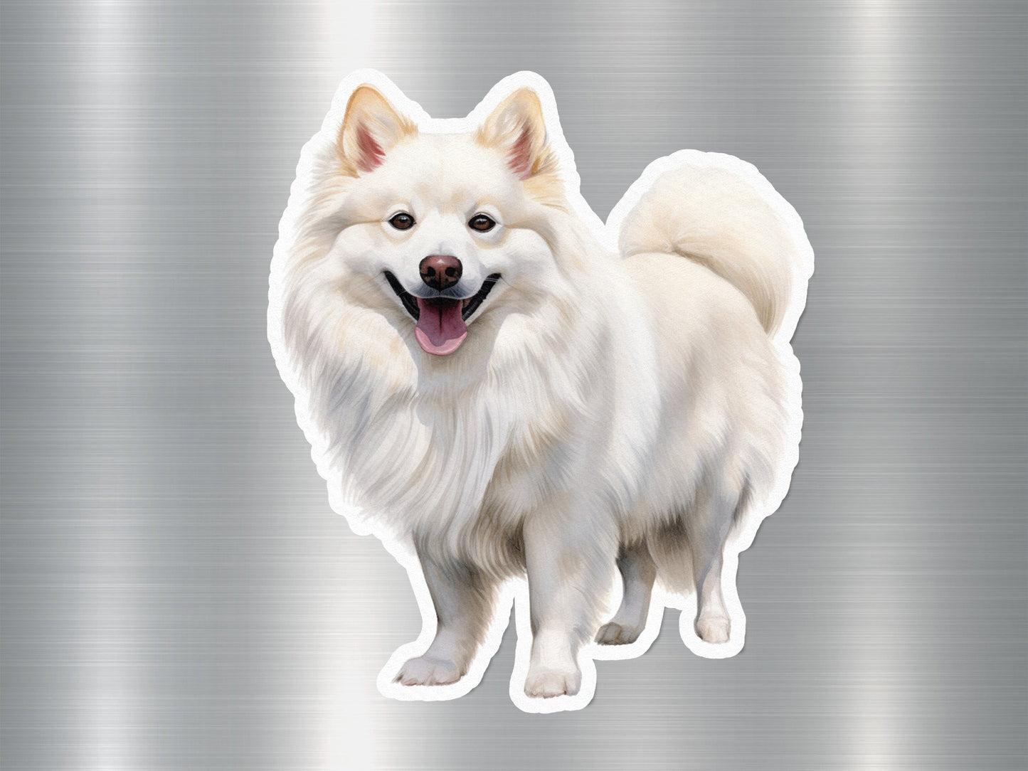 Wholesale Cute American Eskimo Dog Sticker