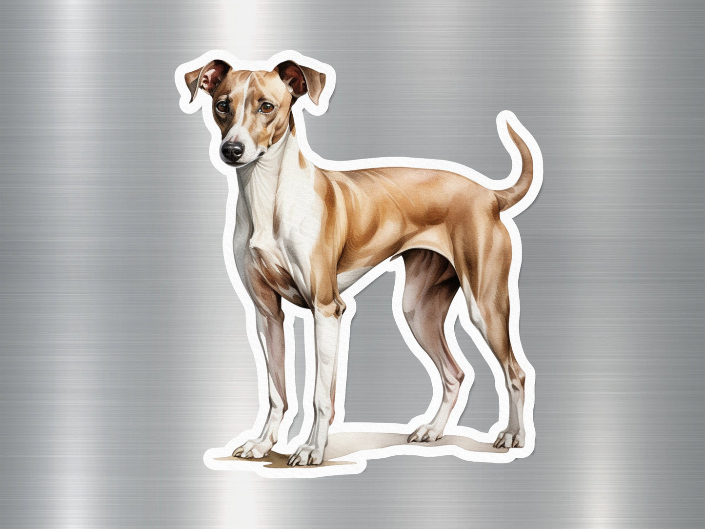 Wholesale Sleek Speedster Dog Sticker