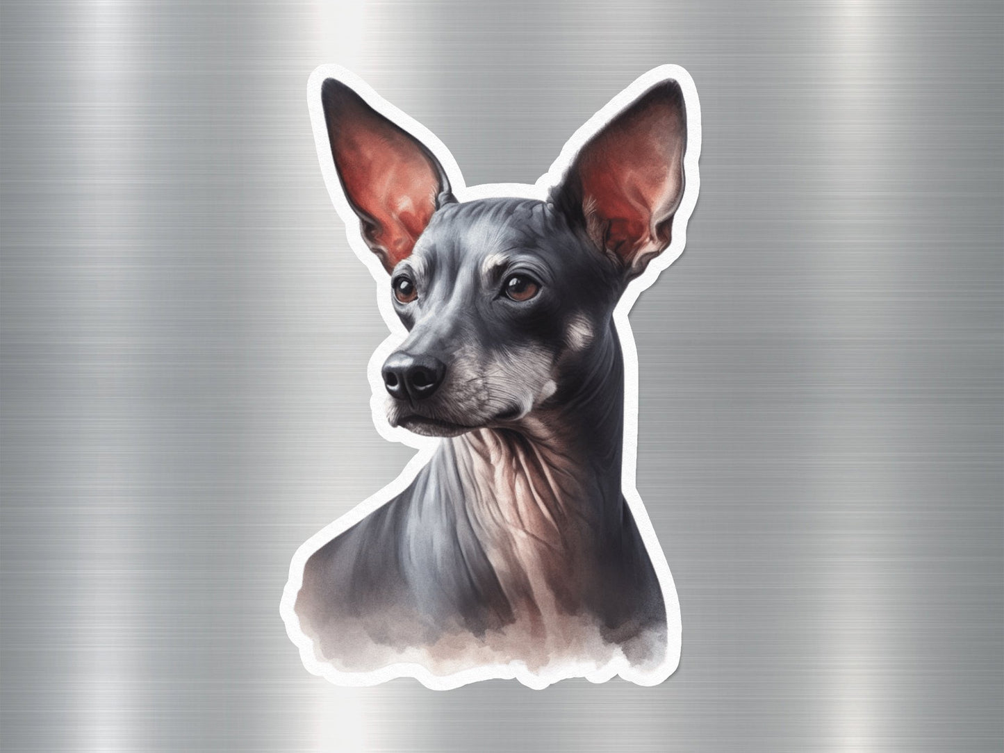 Wholesale American Hairless Terrier Dog Sticker