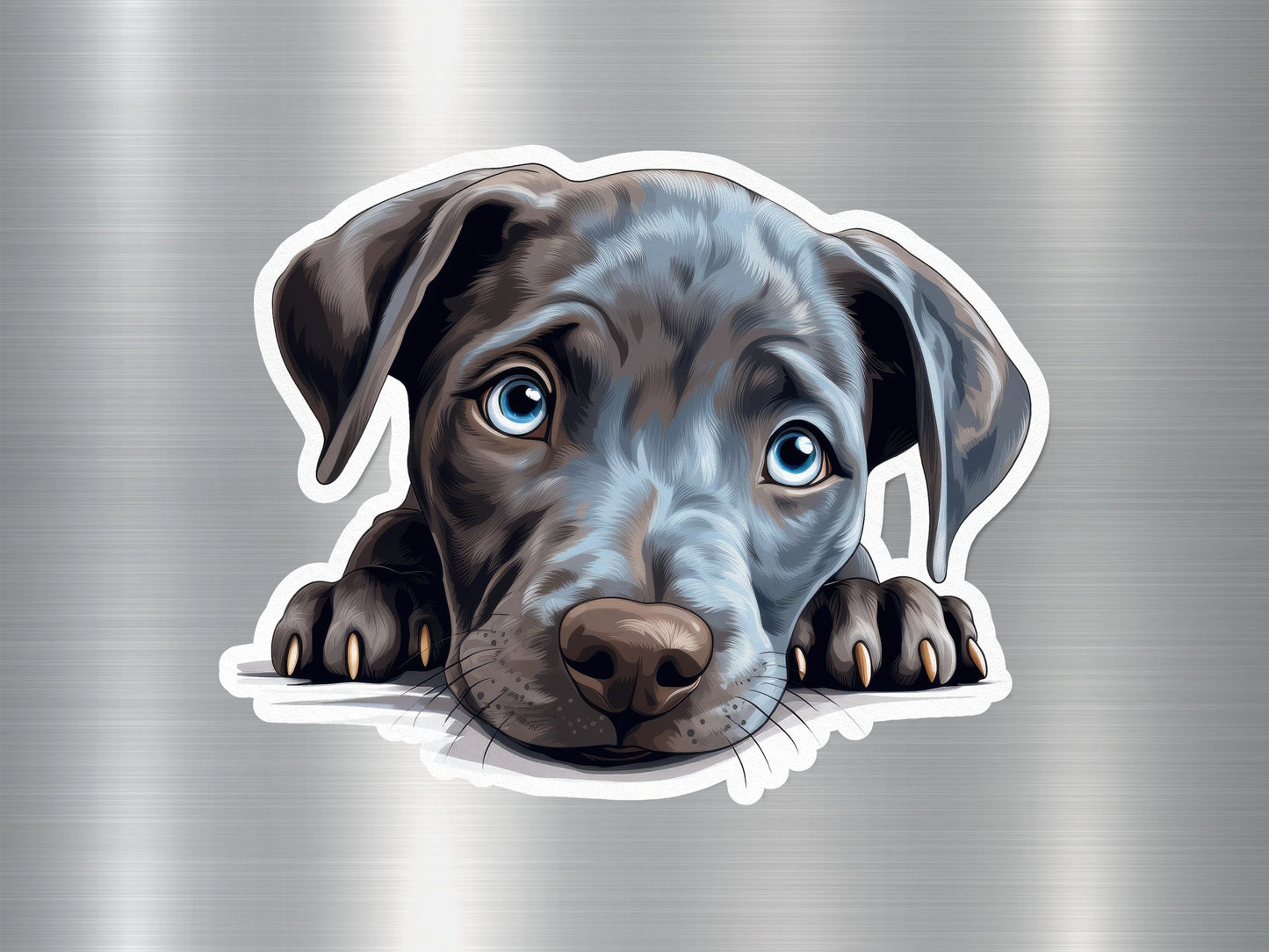 Wholesale Blue Lacy Dog Sticker