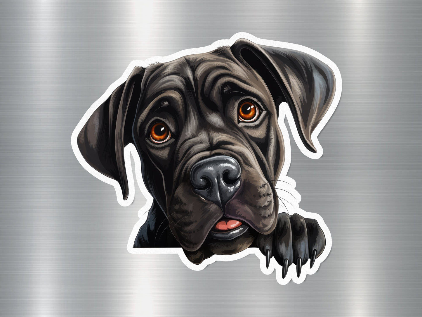 Wholesale Cane Corso Curiosity Dog Sticker
