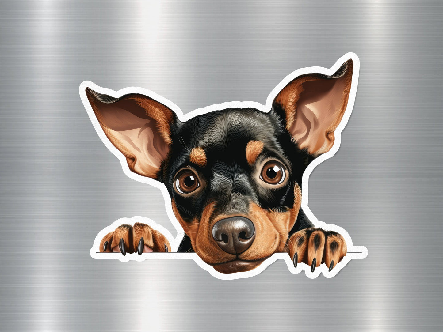Wholesale Pincher Peek Dog Sticker