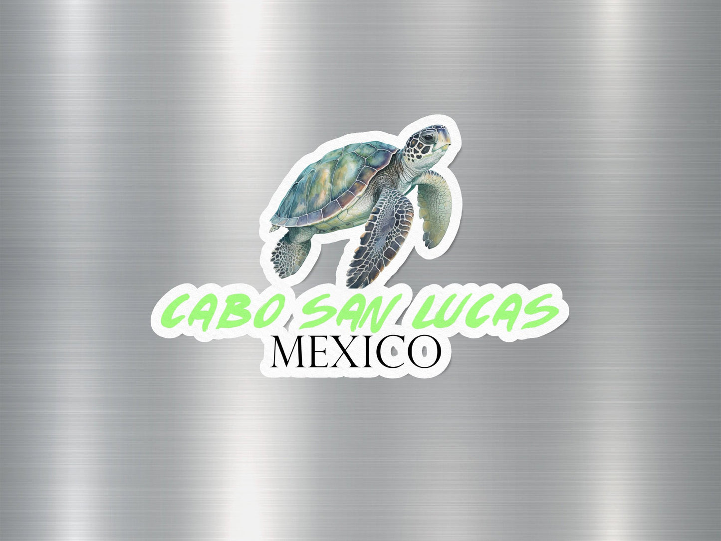 Wholesale Cabo San Lucas Mexico Turtle Sticker