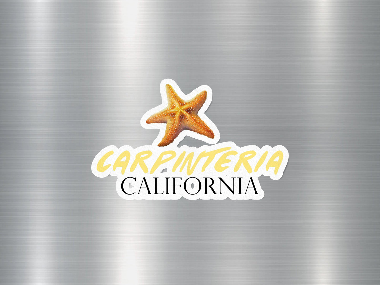 Wholesale Carpentaria California Starfish Sticker