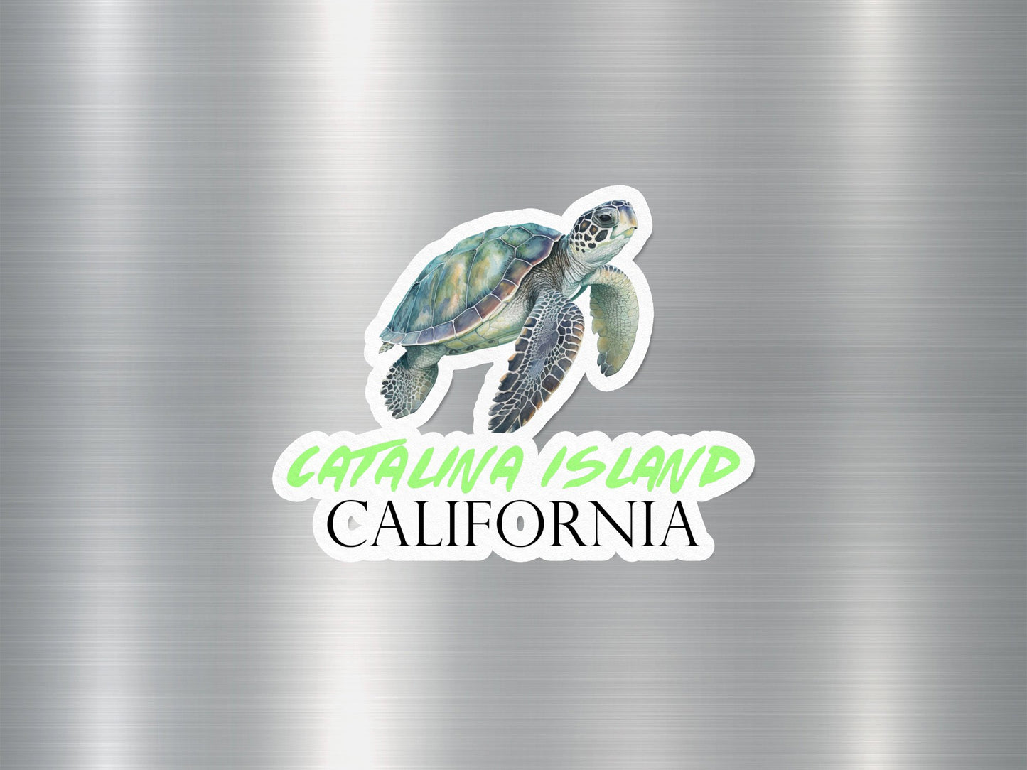 Catalina Island California Turtle Sticker
