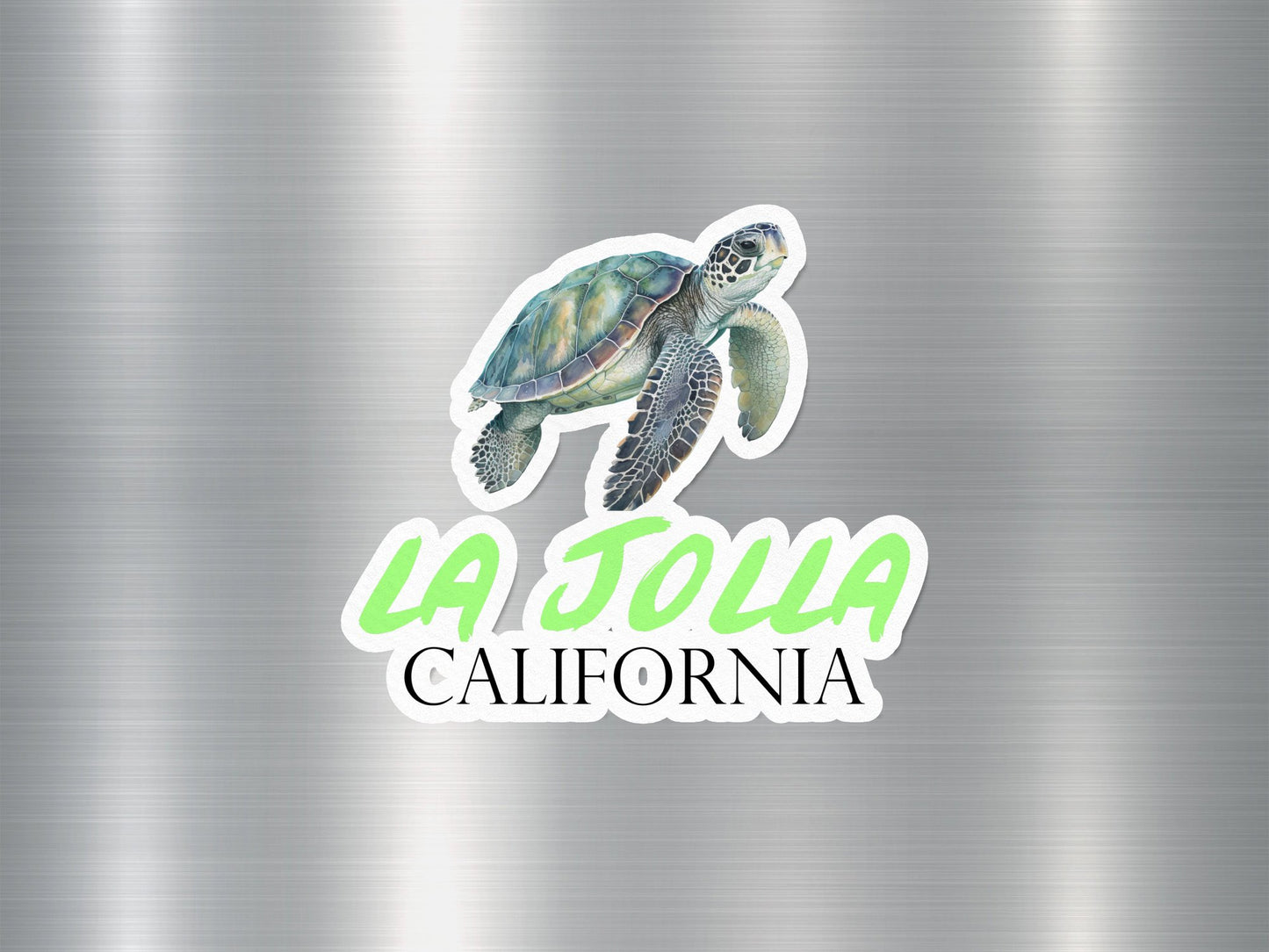 La Jolla California Turtle Sticker