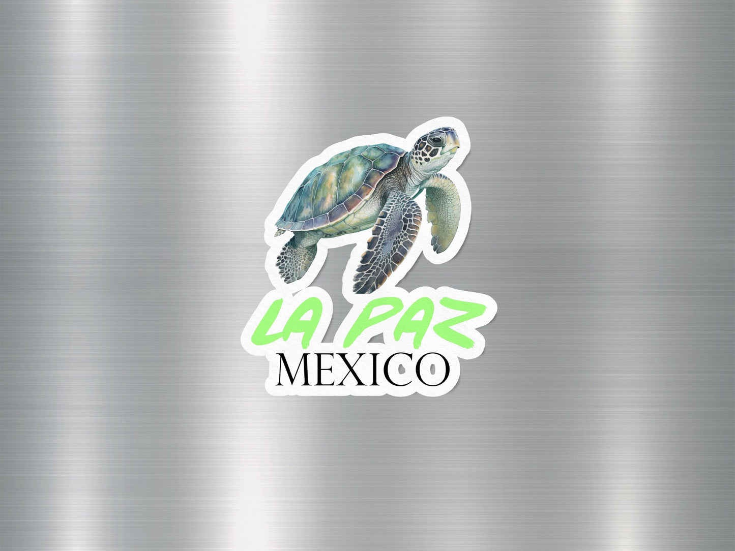 Wholesale La Paz Mexico Turtle Sticker