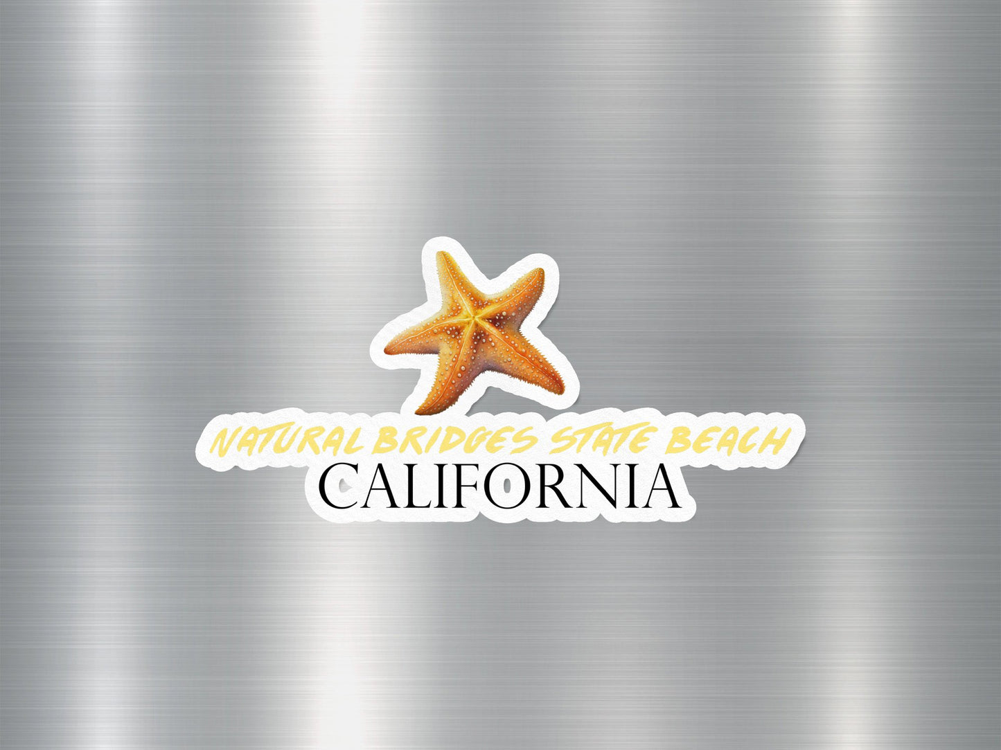 Wholesale Natural Bridges State Beach California Starfish Sticker