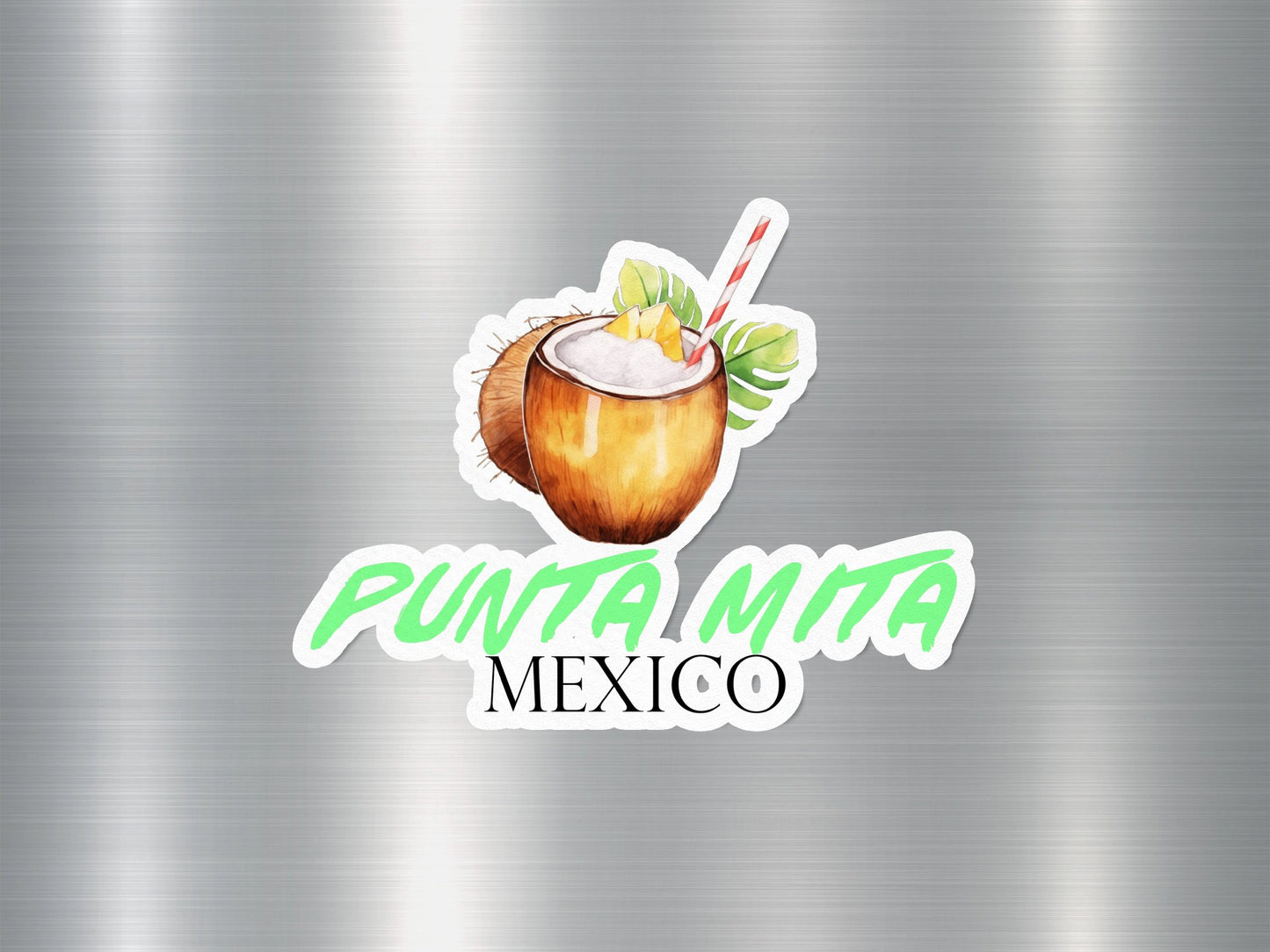 Wholesale Punta Mita Mexico Coconut Sticker