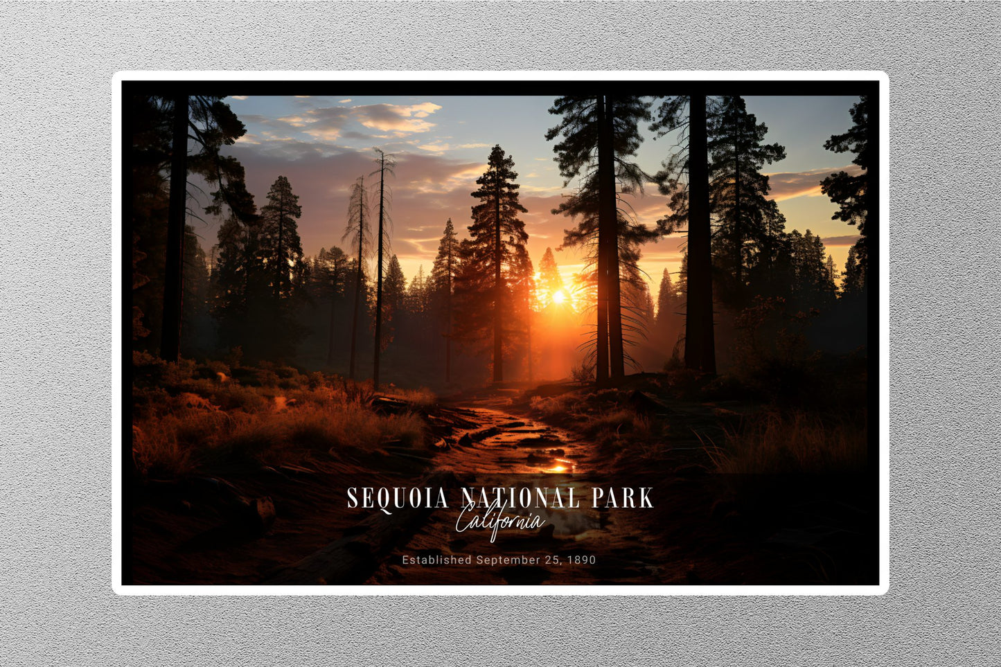 Wholesale Sequoia Sunrise National Park Sticker