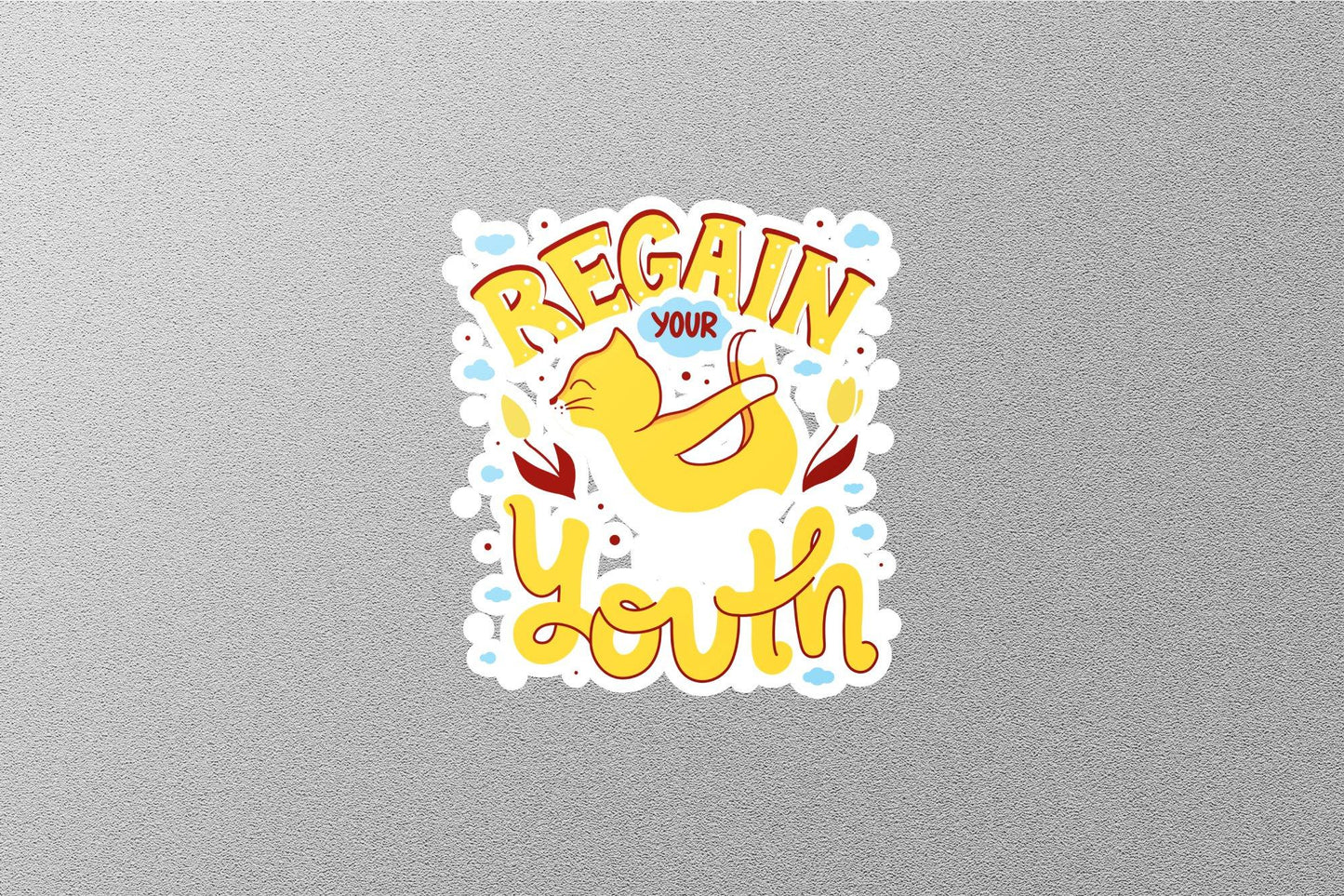 Wholesale Begins Your Youth Sticker