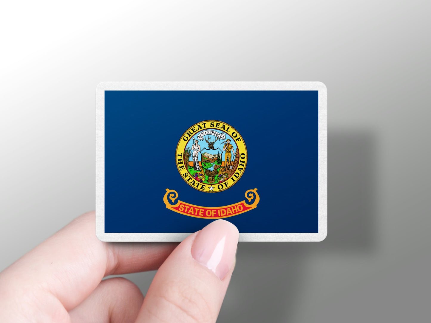 Wholesale Idaho State Flag Sticker