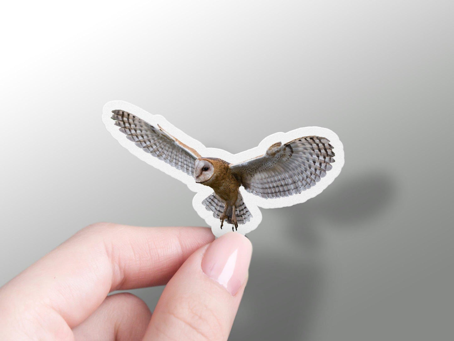 Barn Owl Sticker