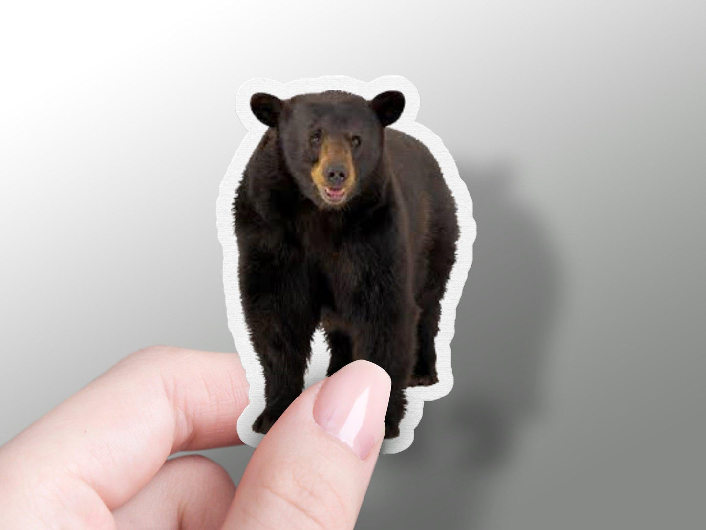 Bear Sticker