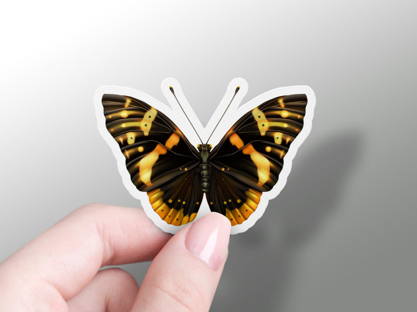 Buterfly Sticker