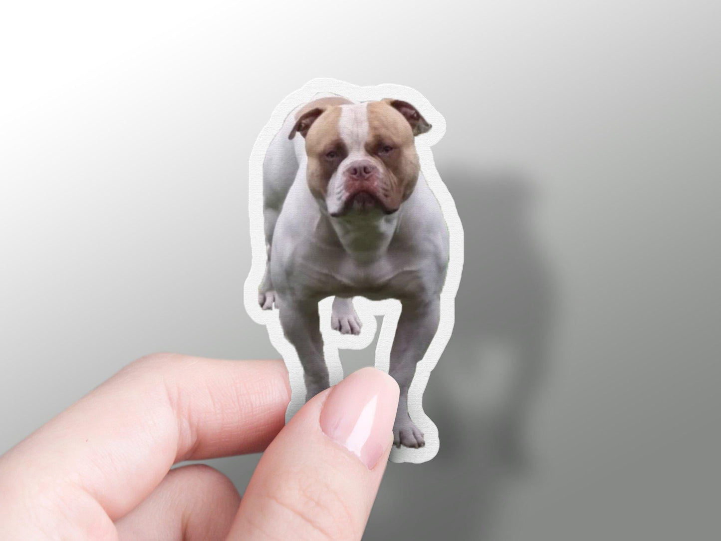Dog Sticker