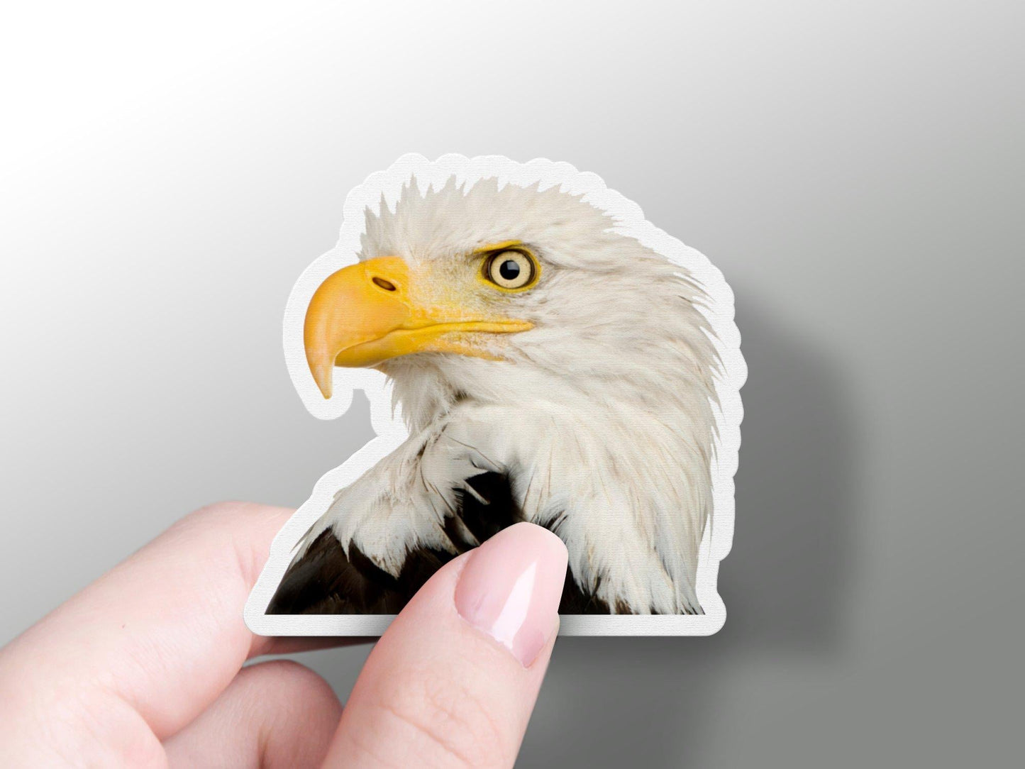 Eagle Head Sticker