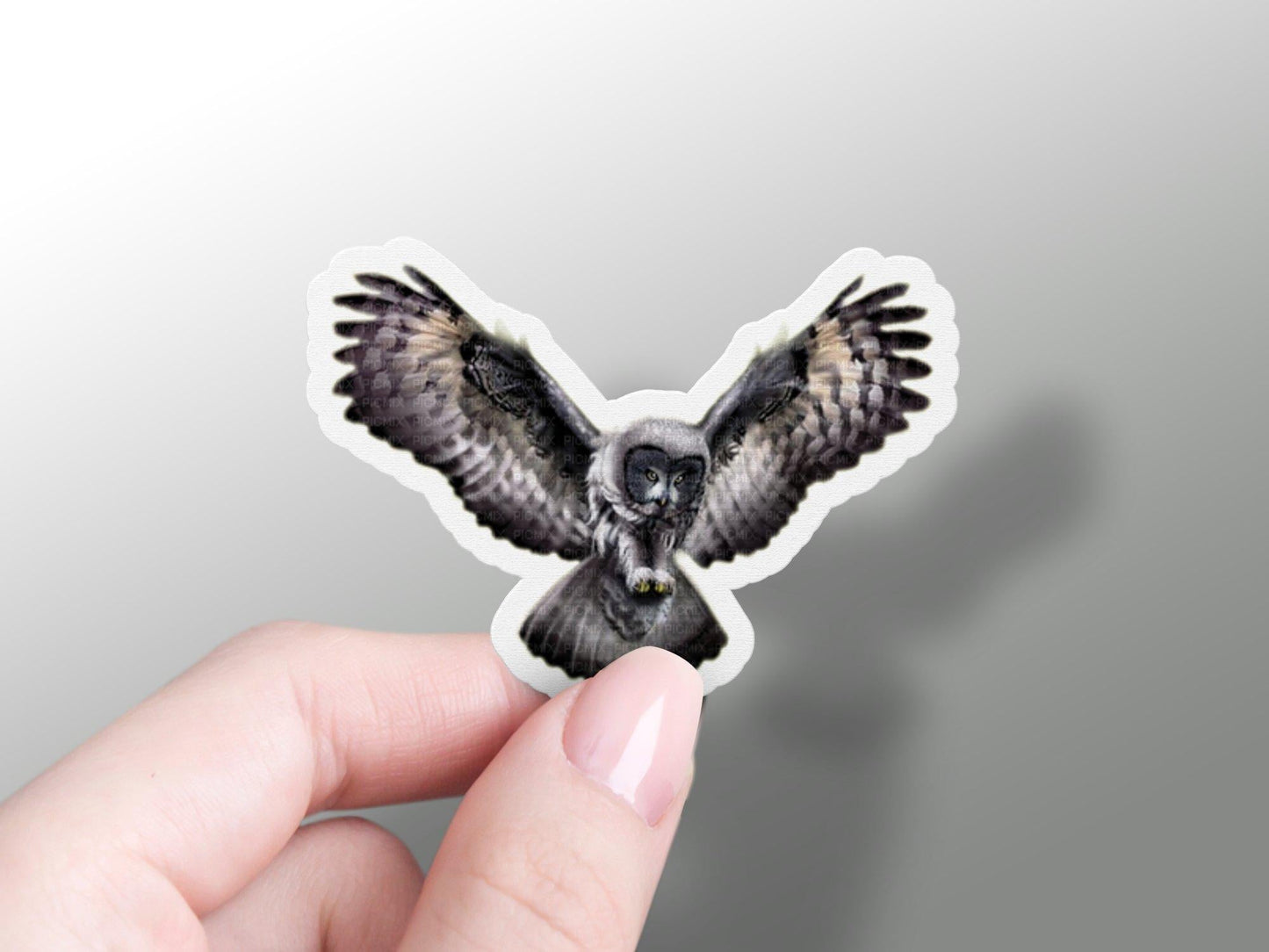 Wholesale Great Grey Owl Sticker