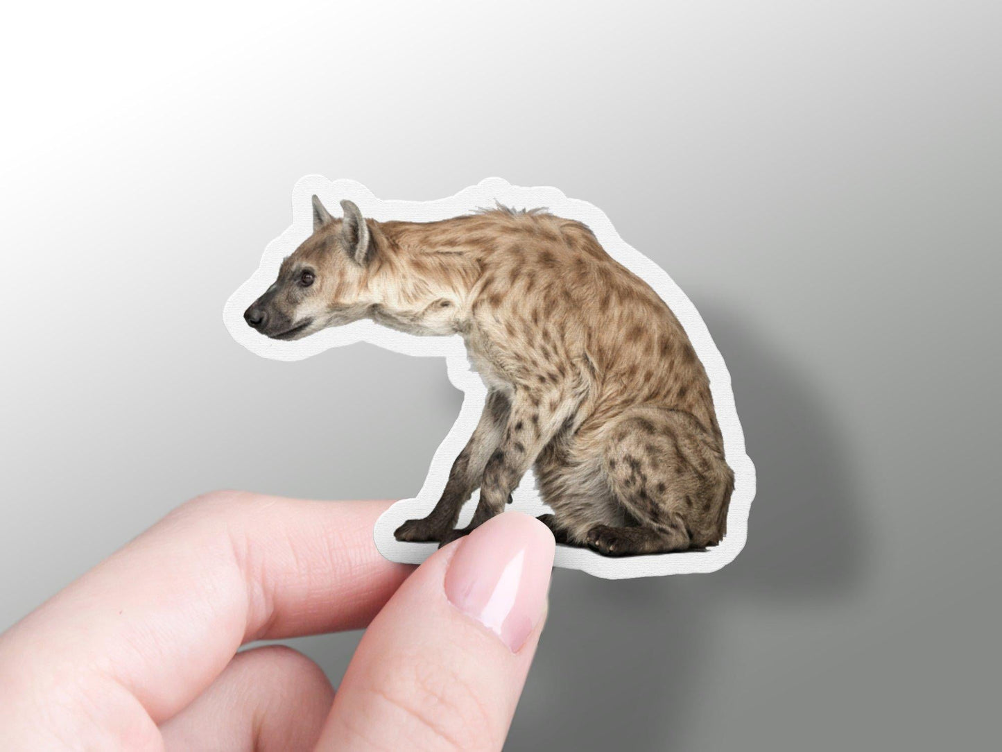 Wholesale Hyena Sticker
