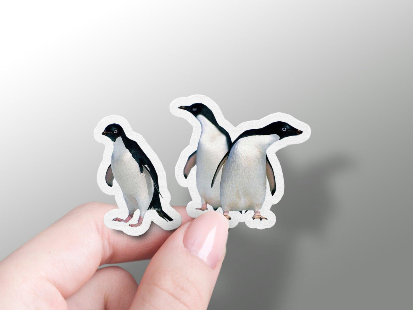 Wholesale Penguin Sticker-2