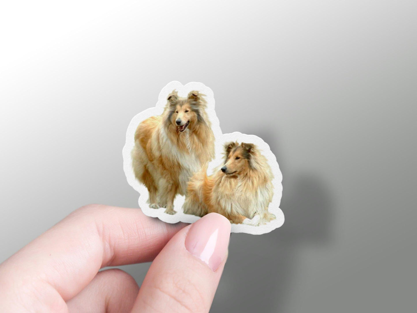 Wholesale Rough Collie Sticker
