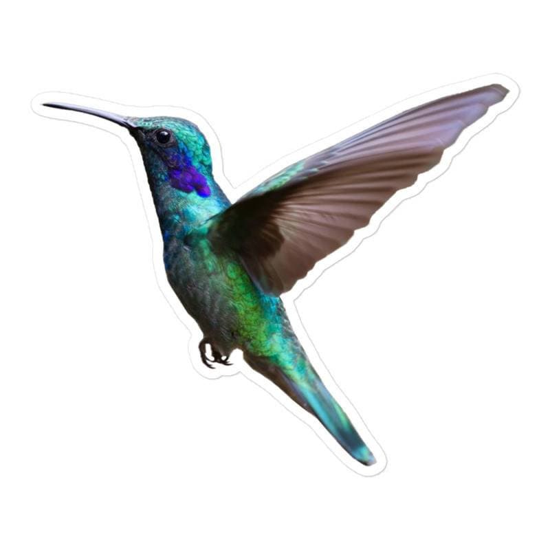 Hummingbird Sticker