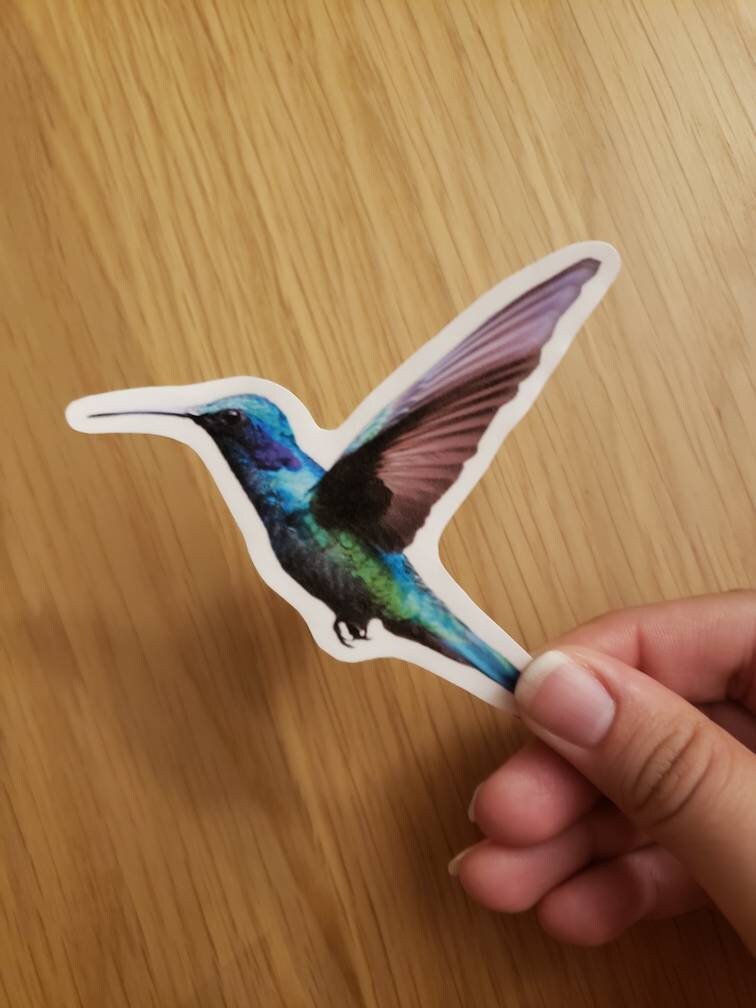 Wholesale Hummingbird Sticker