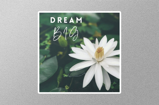 Dream Big Inspirational Quote Sticker