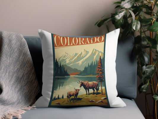 Vintage Colorado 3 Throw Pillow