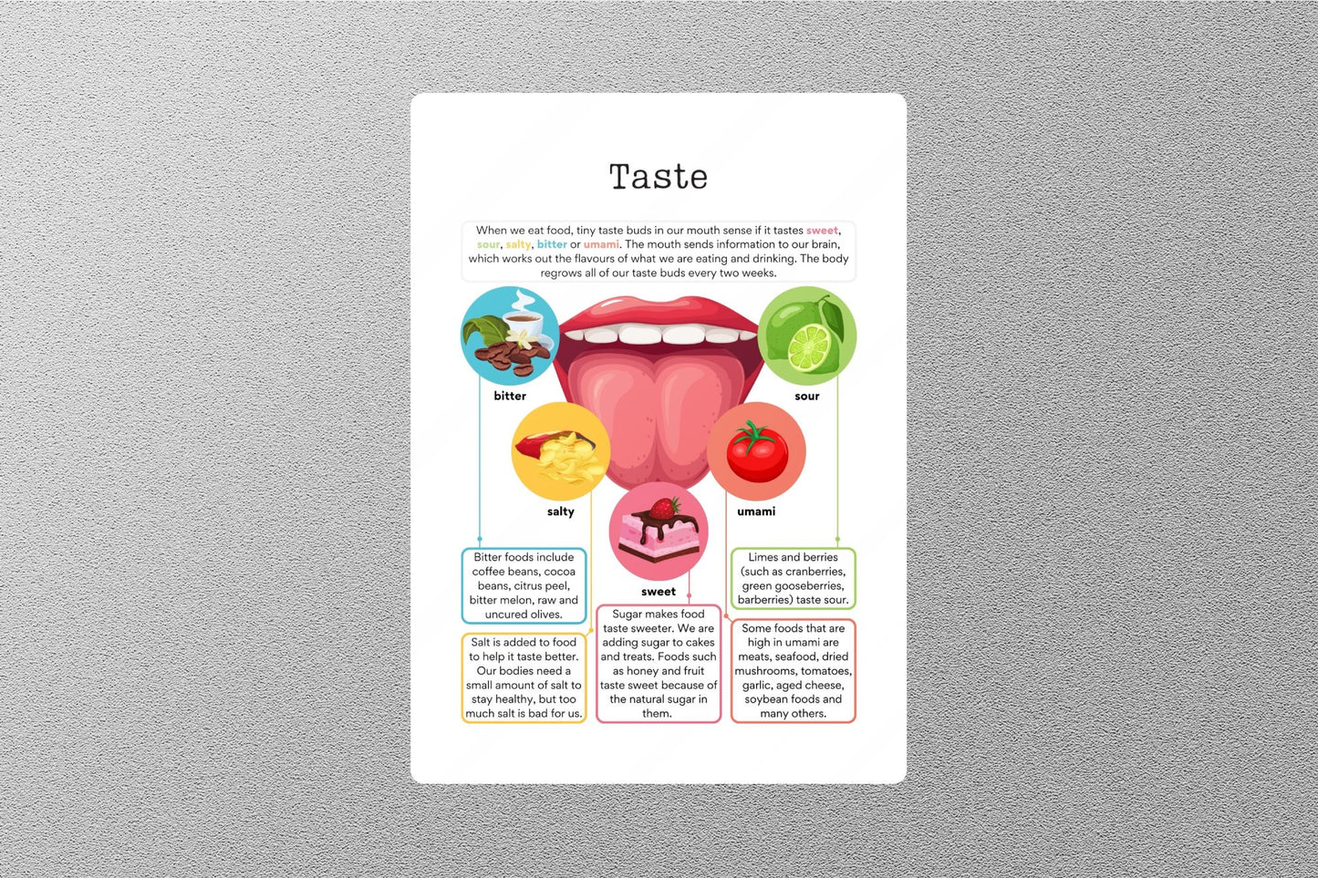 Taste Education Sticker