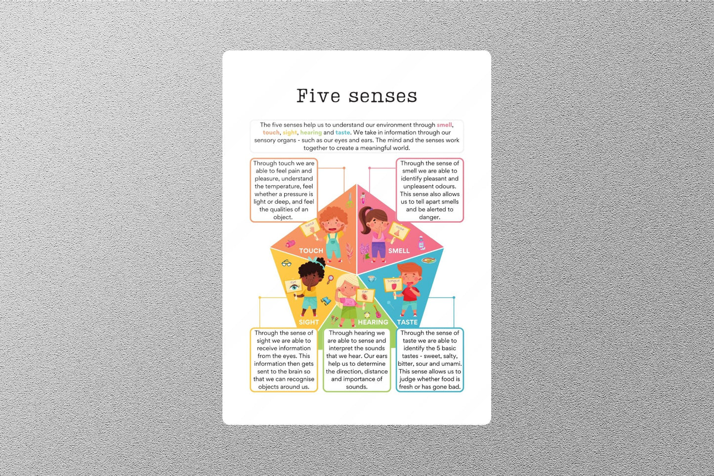 Five Senses Education Sticker