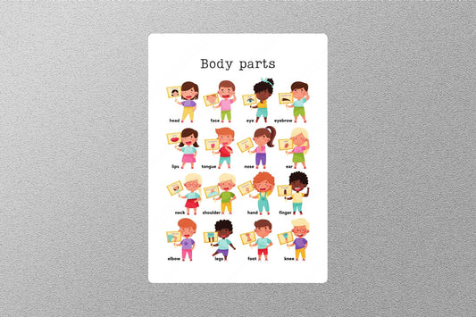 Body Parts Education Sticker