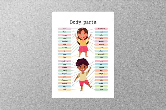 Body Parts Education Sticker