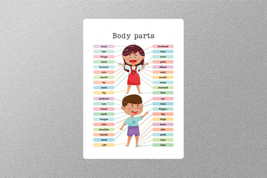 Body Parts Education Sticker