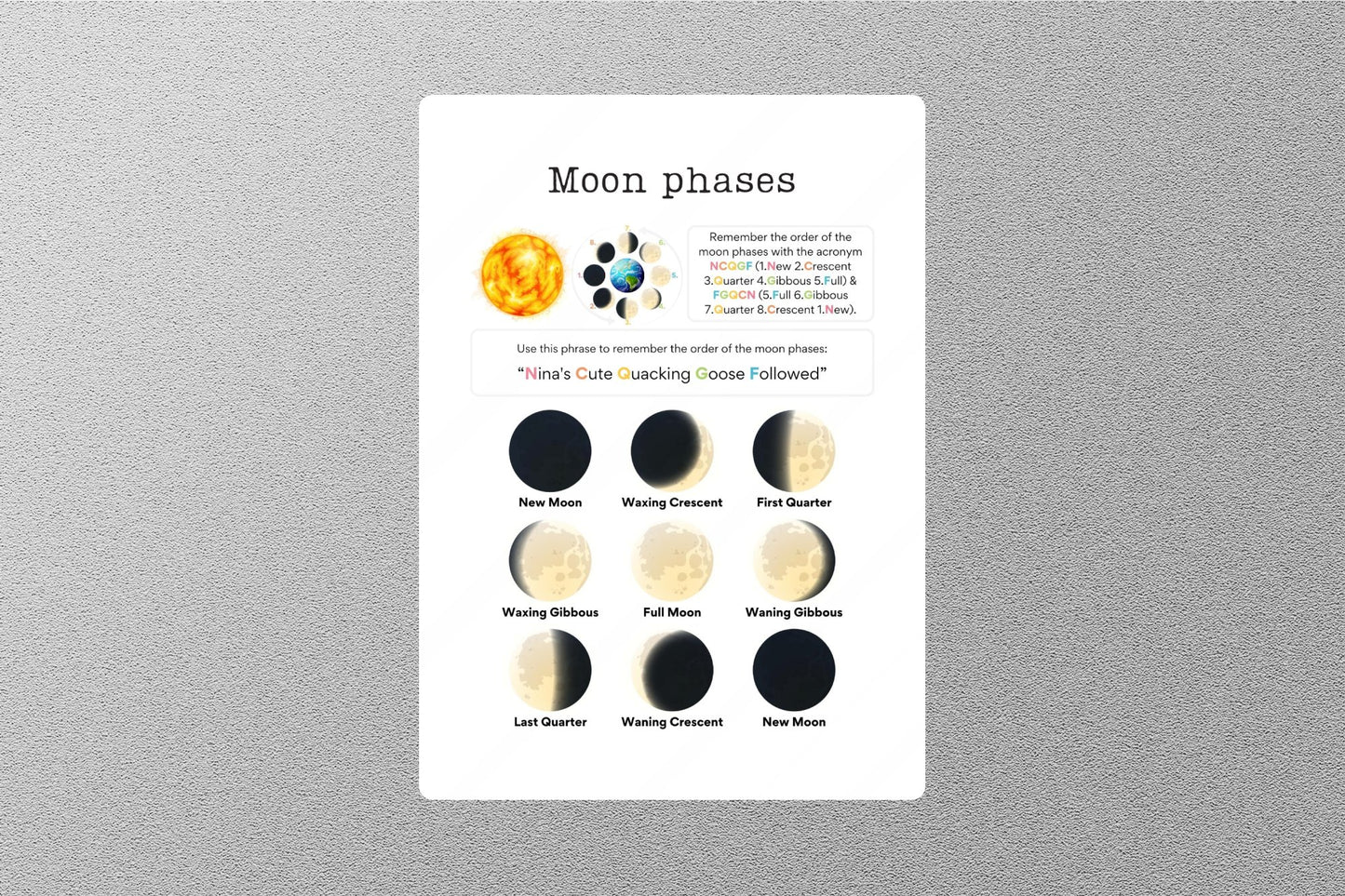 Moon Phases Education Sticker
