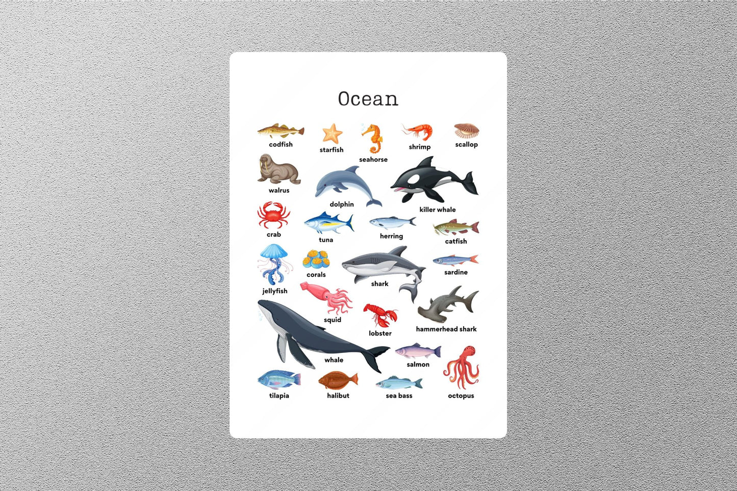 Ocean Education Sticker