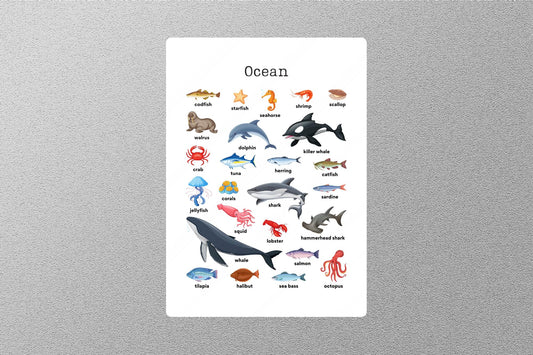 Ocean Education Sticker